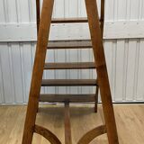 Late 19th century walnut library stepladder