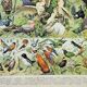 Antique engraving 1898, Birds 1: species, parrot, raptor • Lithograph, original illustration