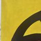 Abstract signed Nodi