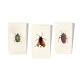 Pack of 3 insect inclusions