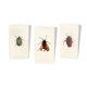 Pack of 3 insect inclusions