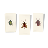 Pack of 3 insect inclusions