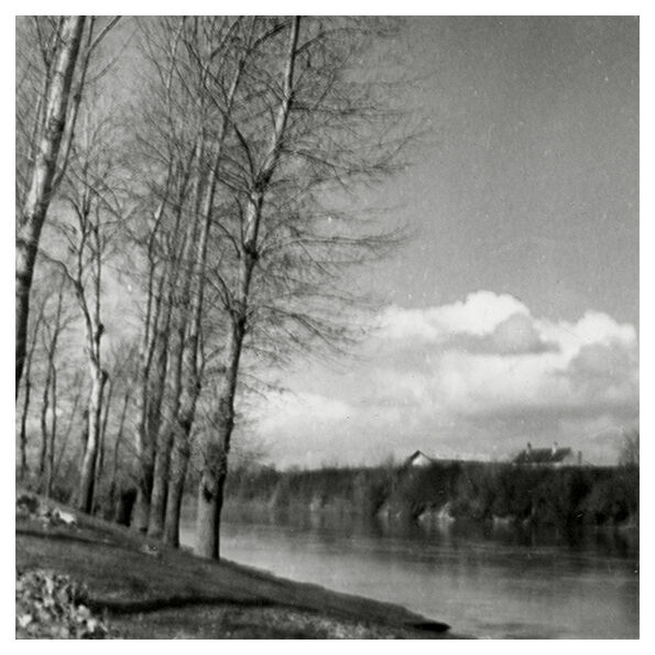 Winter landscape, riverside