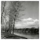 Winter landscape, riverside