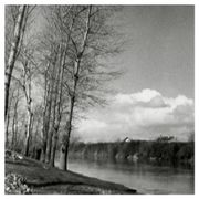 Paysage hivernal, bord de rivière