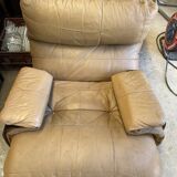 Pair of armchairs Marsala by Michel Ducaroy for Ligne Roset