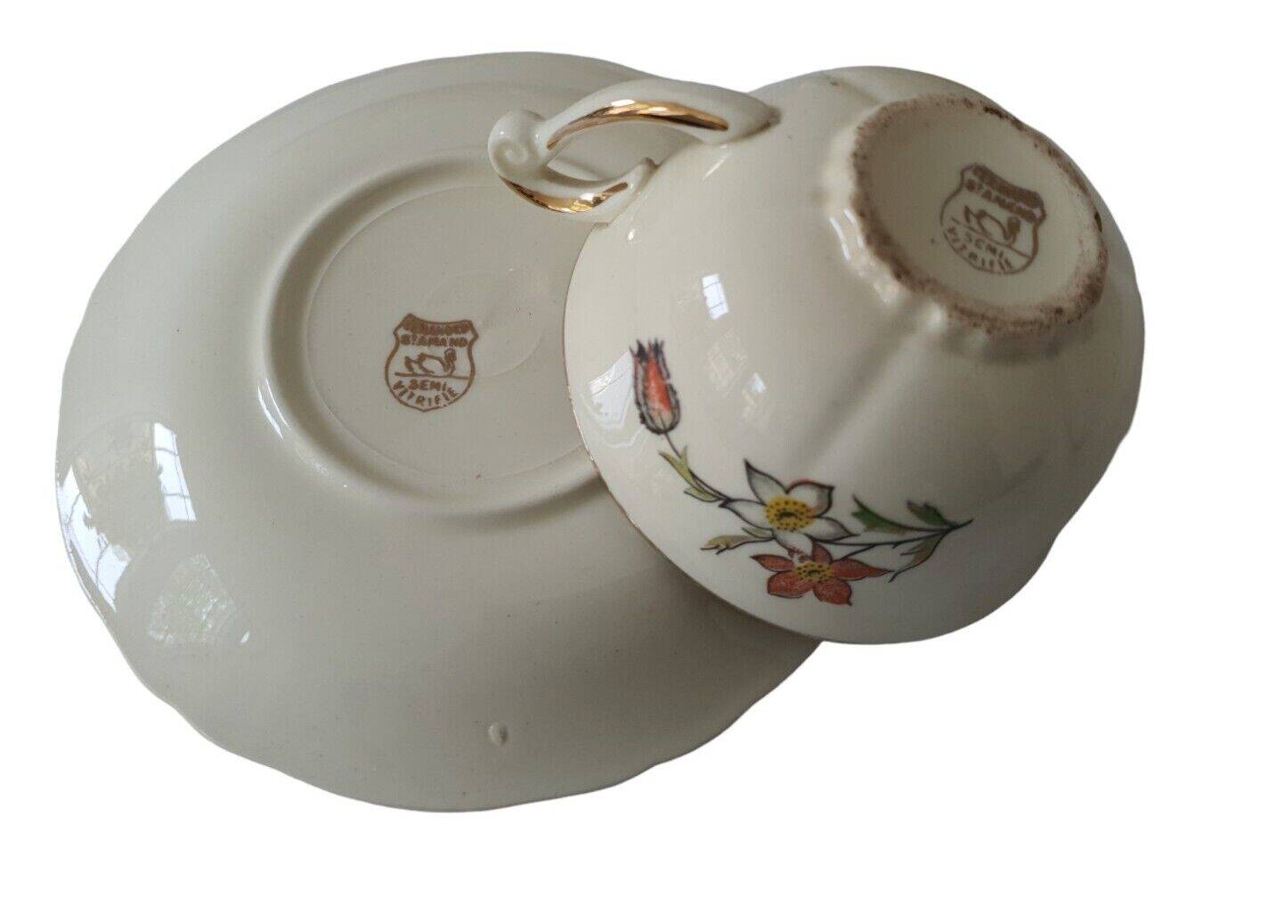 Saverne Céranord Saint Amand Semi Vitrified Tea Service 12 Pieces 1960s