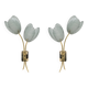 Pair of Tulips Murano Glass and Brass Sconces