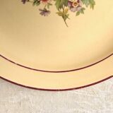 Set of 12 flat plates of Salins earthenware