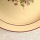 Set de 12 assiettes plates faïence de Salins
