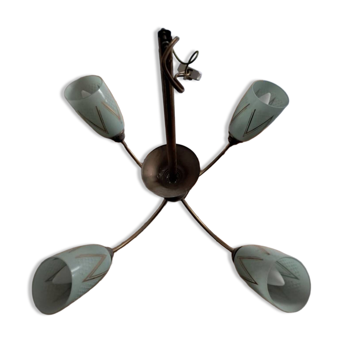 Lustre 4 branches year 50