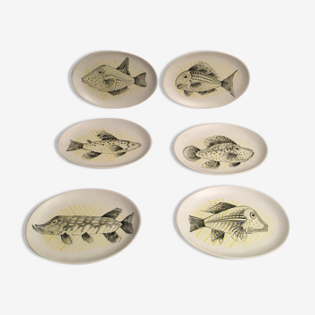 Six fish plates André Baud, Vallauris 50s