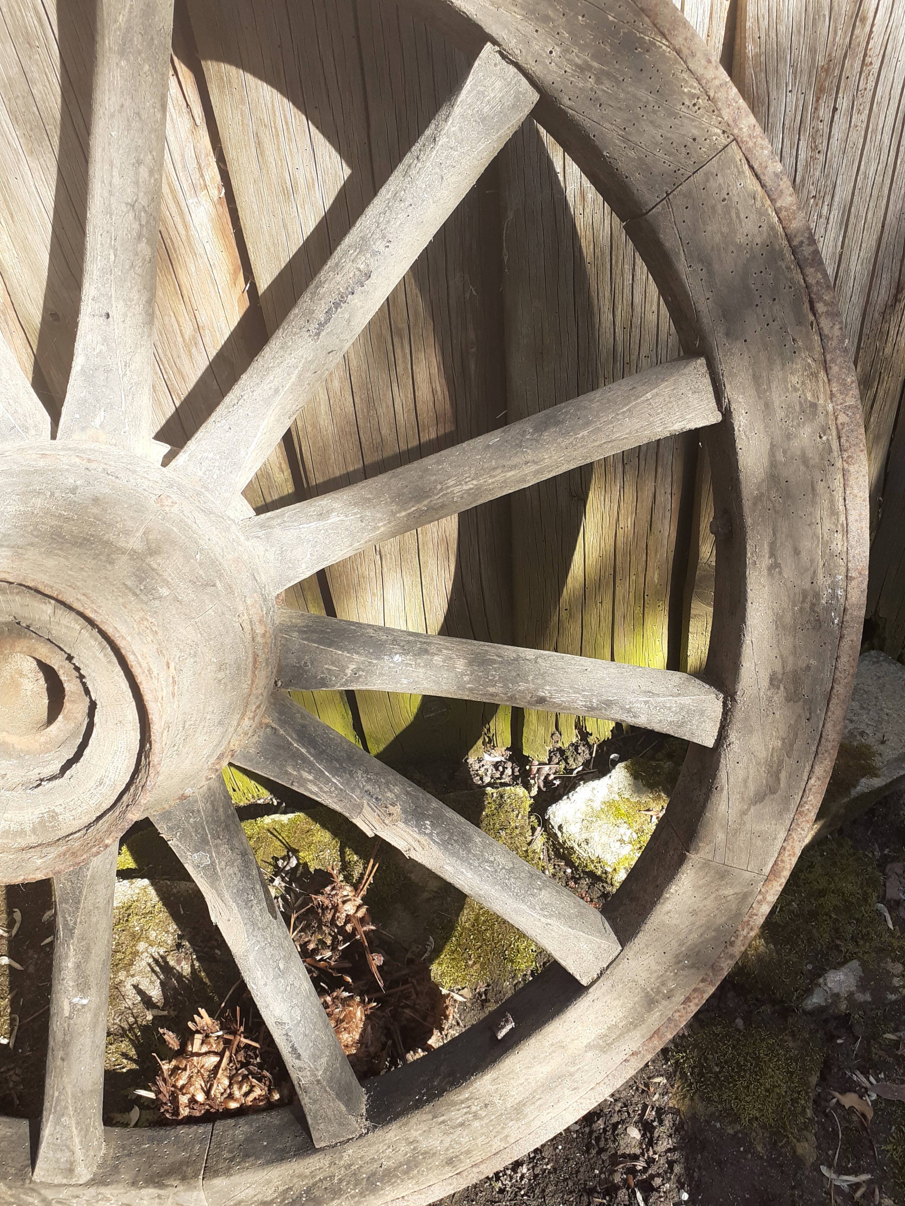 Cart wheel
