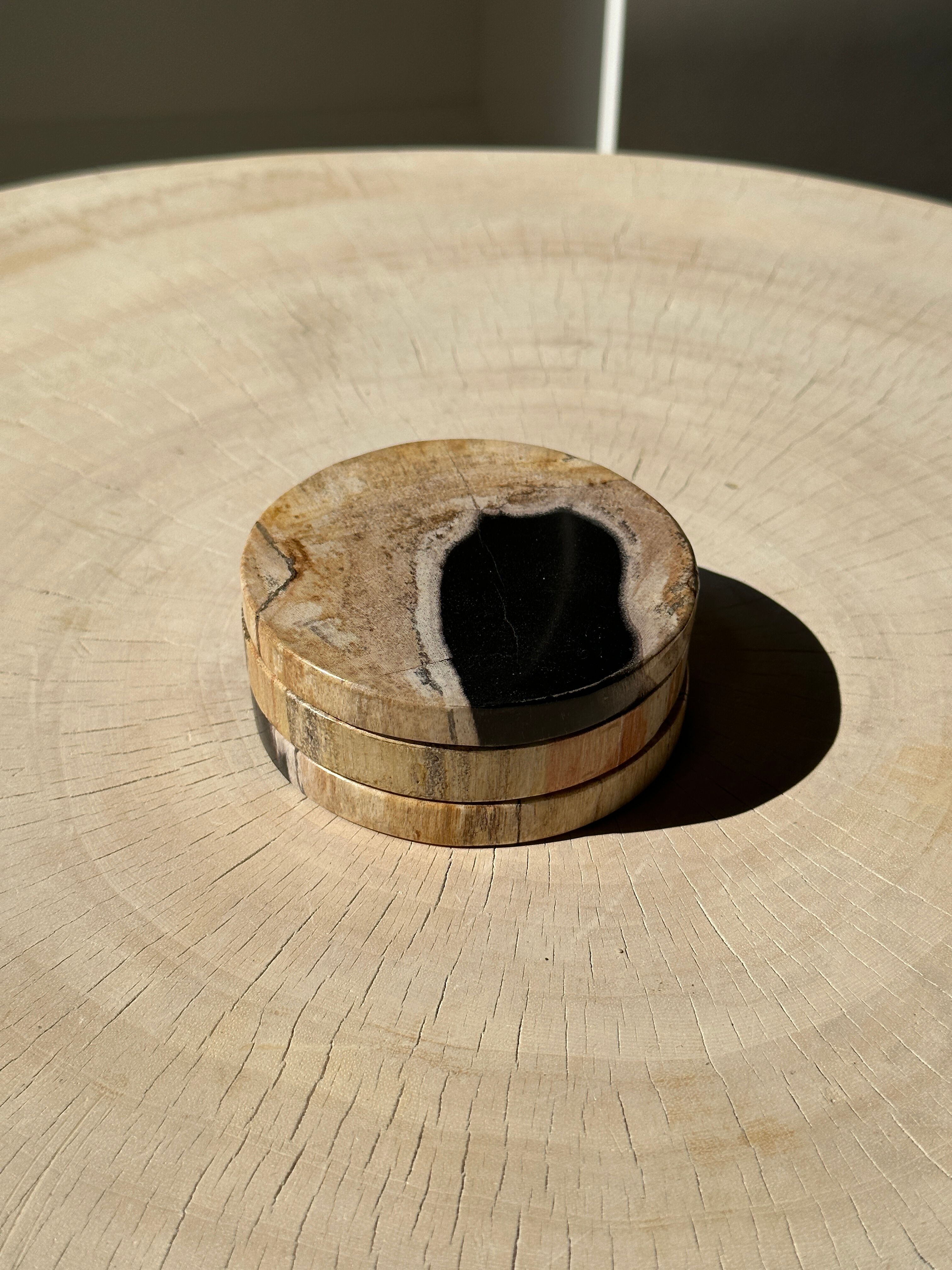 Set of 3 fossilized wooden coasters (clear)