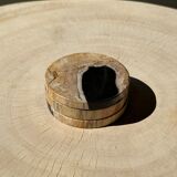 Set of 3 fossilized wooden coasters (clear)