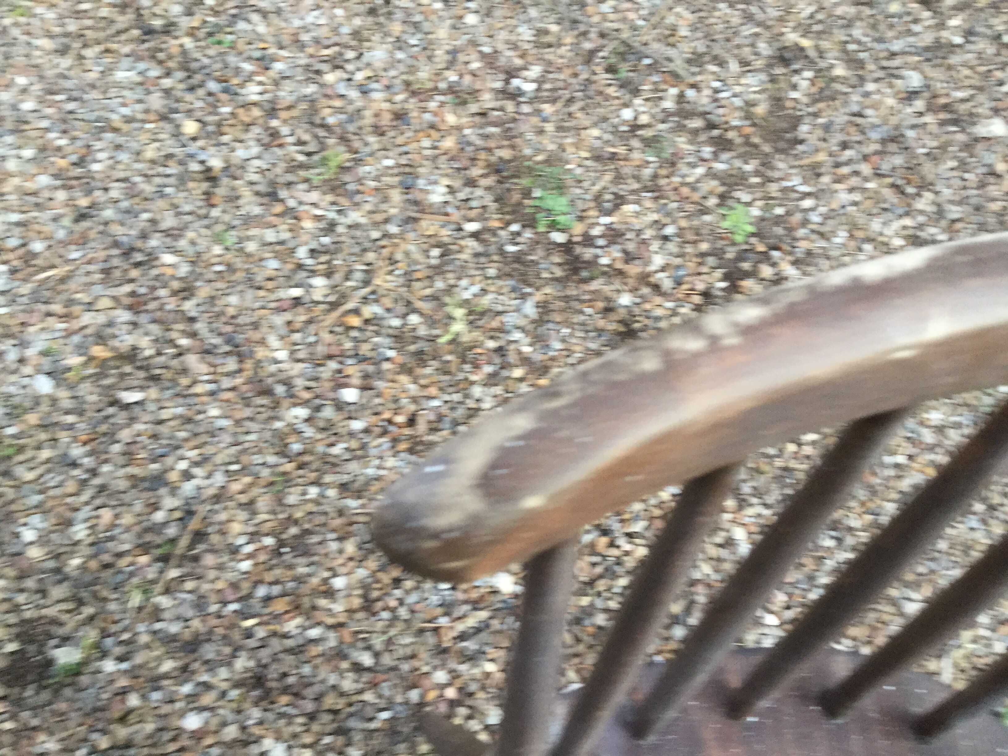 Set of four chairs Tapiovaraa