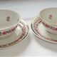 Tea Cups + Saucers Porcelain Pillivuyt White Small Pink Flowers