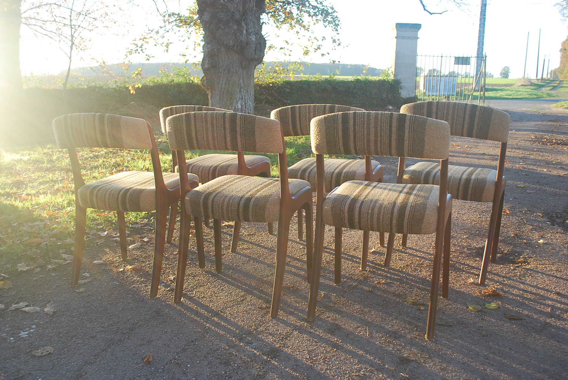 Lots of scandinavian chairs vintage gondola