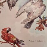lithography of Watercolor signed with parrot in a magnifying glass frame 62x50