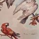lithography of Watercolor signed with parrot in a magnifying glass frame 62x50