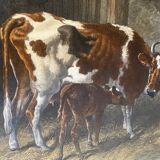 English colored engraving