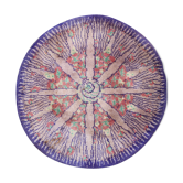Tapis français 1920