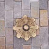 Ancient petal