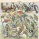 Planche lithographie les oiseaux 1900