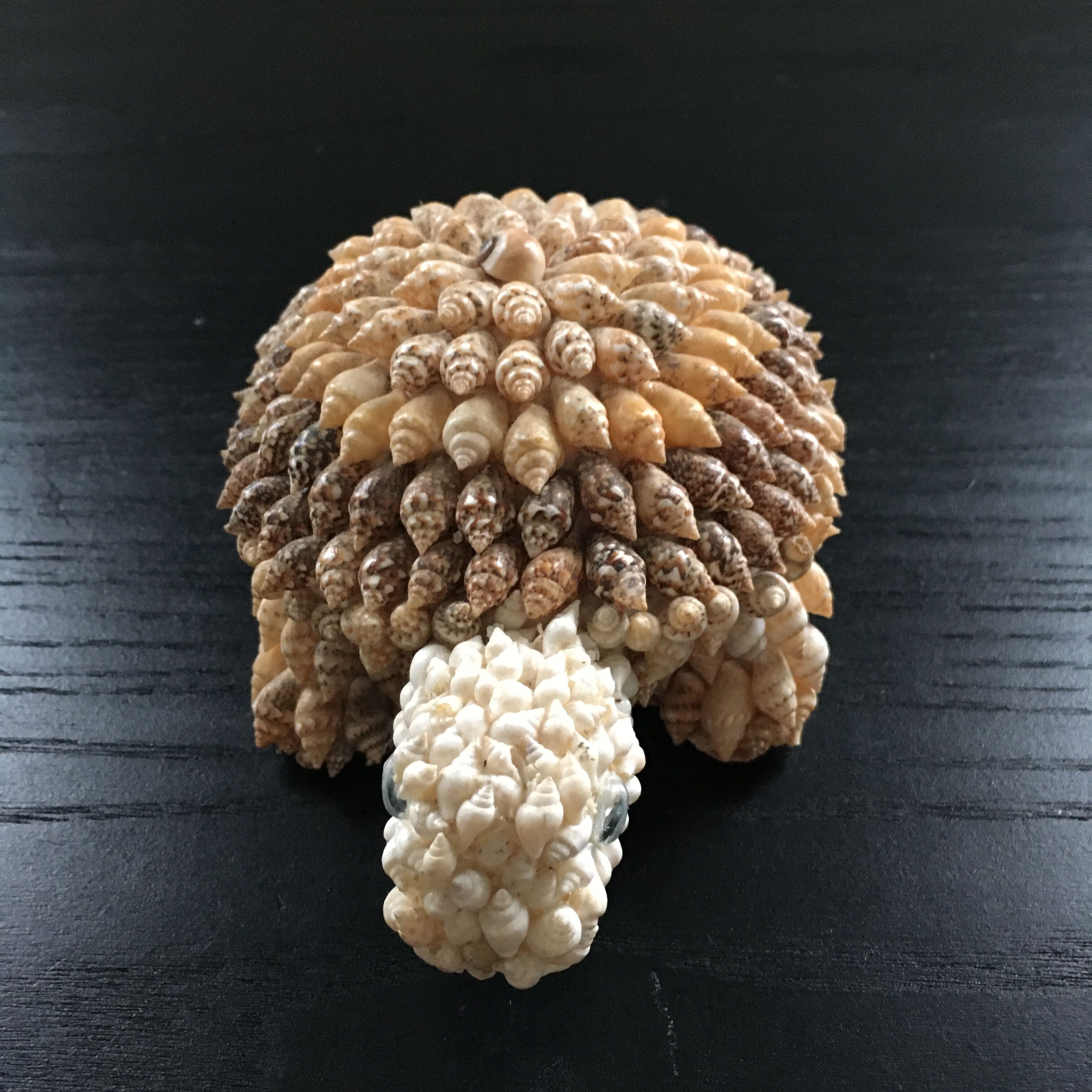 Shell turtle paperweight