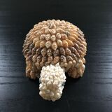 Shell turtle paperweight