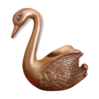 Cygne laiton