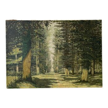 Huile sur toile, forêt, vintage