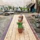 French antique garden dining table – XXL wine table with benches