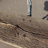 19th century cast iron bench with fake branches