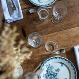 The 6 sarreguemines plates