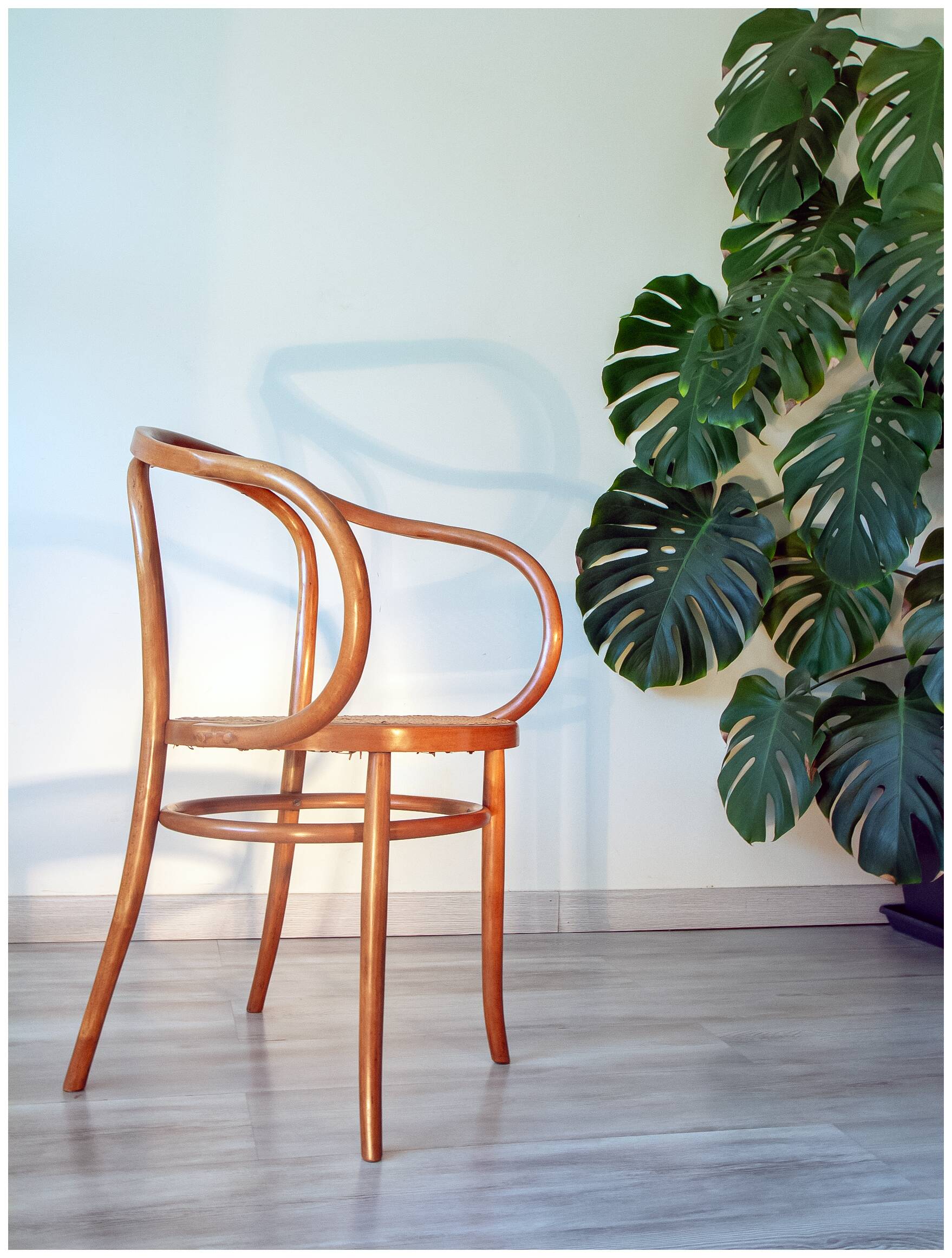 Chair B9/209 known as "Le Corbusier", early 20th century.