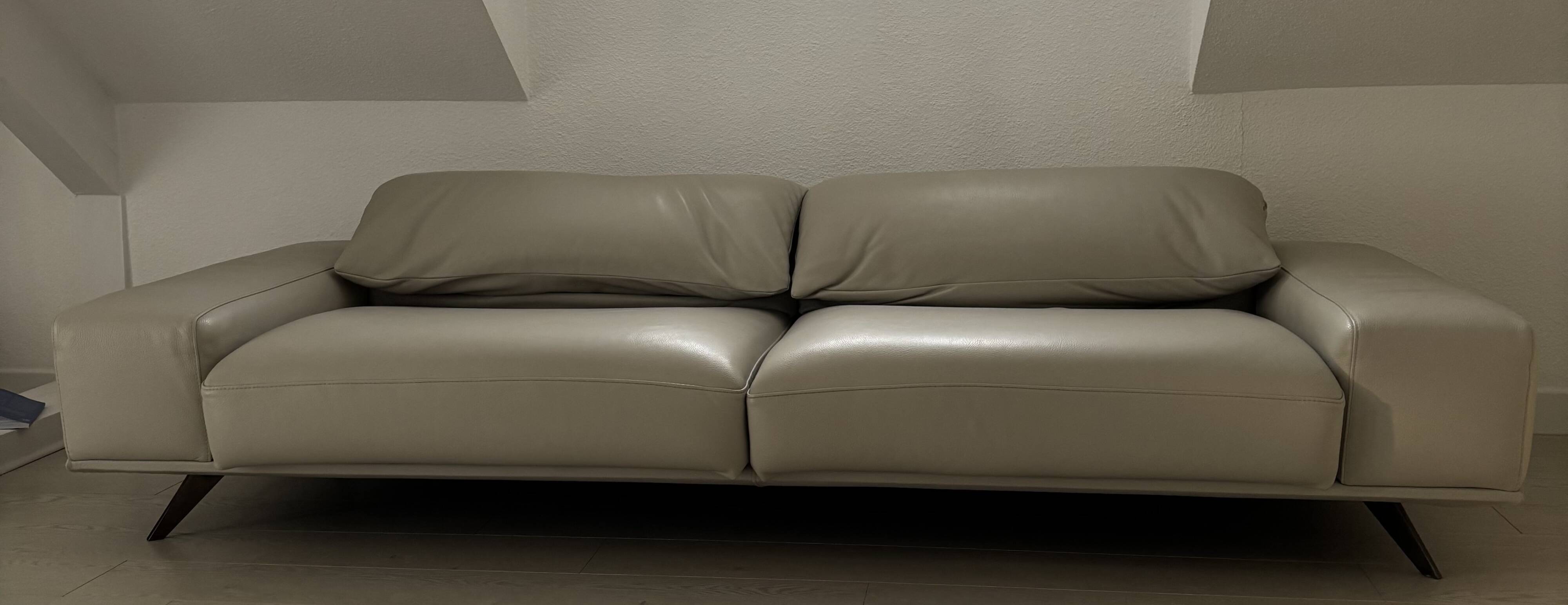 Roche bobois sofa