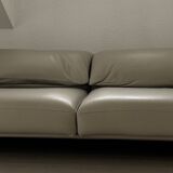 Roche bobois sofa