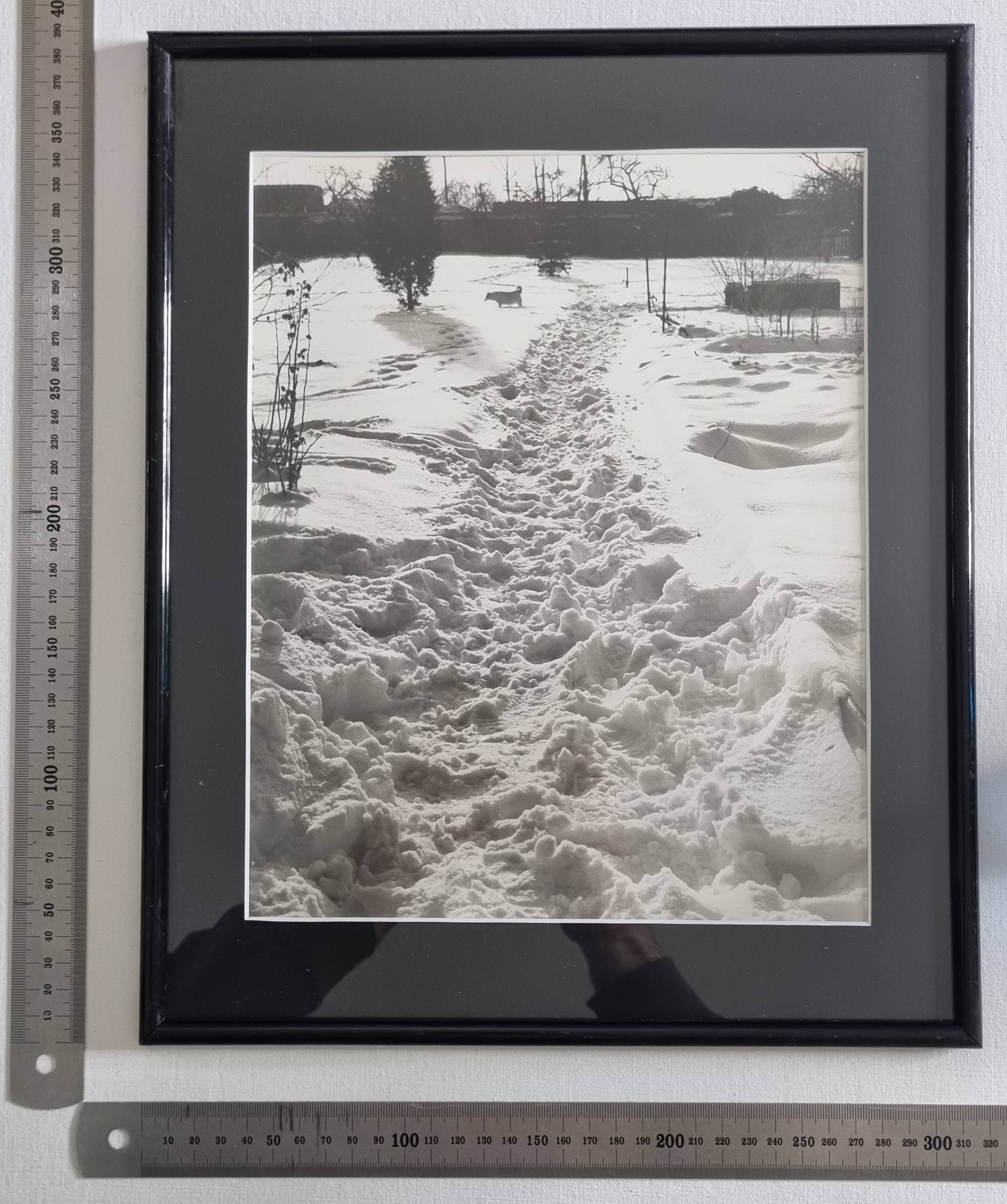 Vintage silver print of a snowy landscape with a dog, framed 32x39 cm.