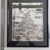 Vintage silver print of a snowy landscape with a dog, framed 32x39 cm.