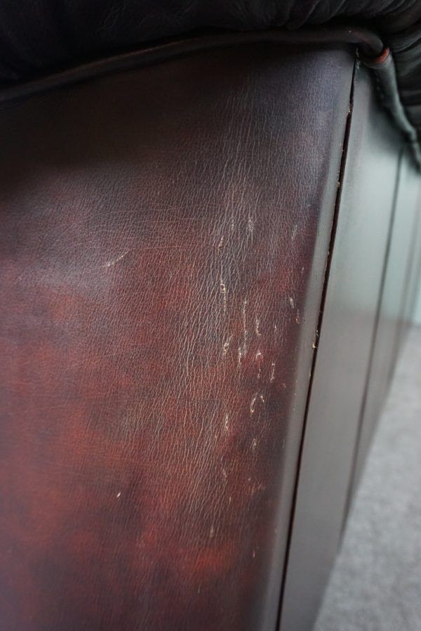 Chesterfield sofa in resistant cowhide, 3 seats