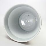 Antique Porcelain planter hand painted with mascarons with lion's head in relief-nineteenth century