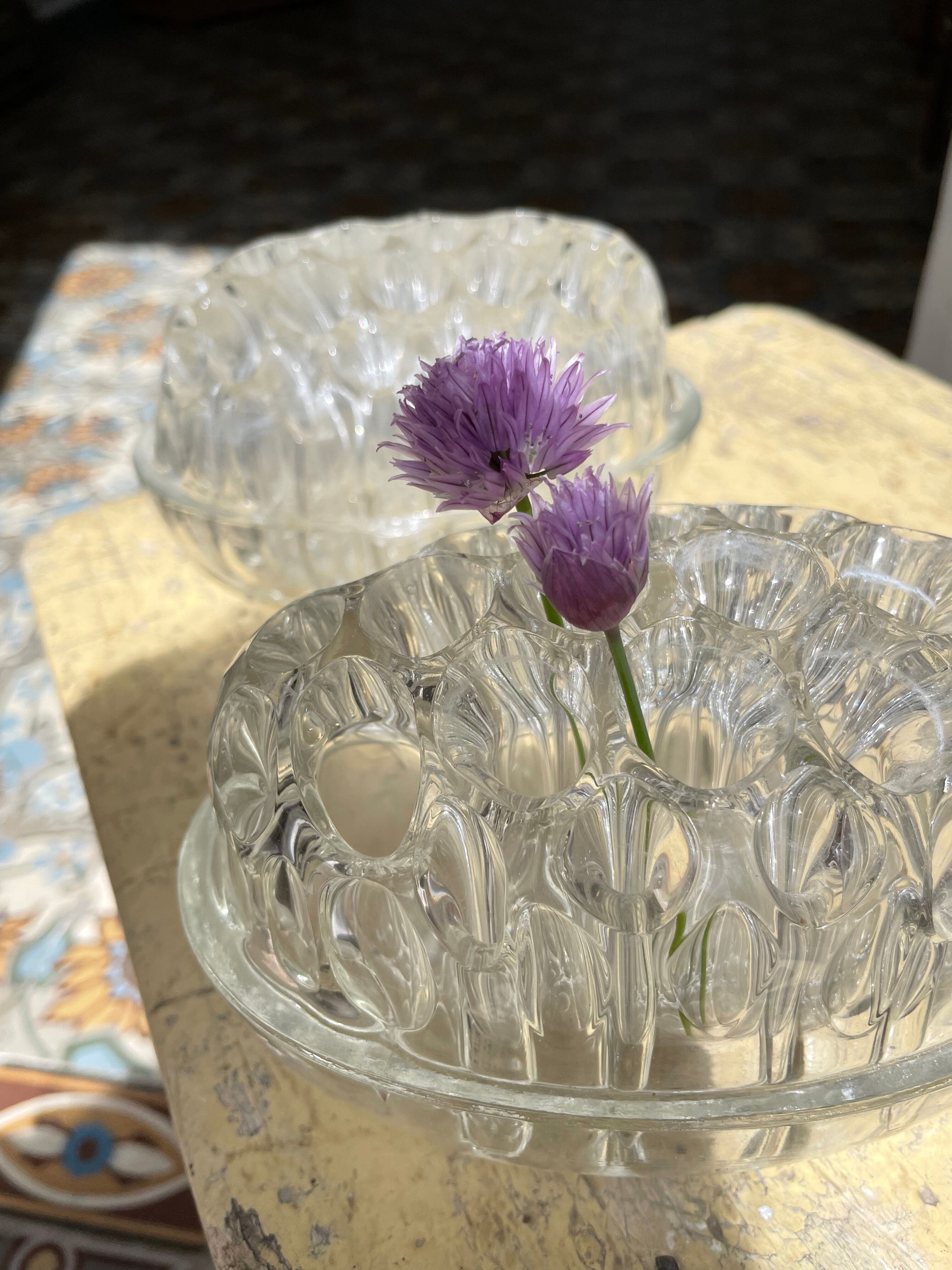 Duo of picnic flowers