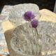 Duo of picnic flowers