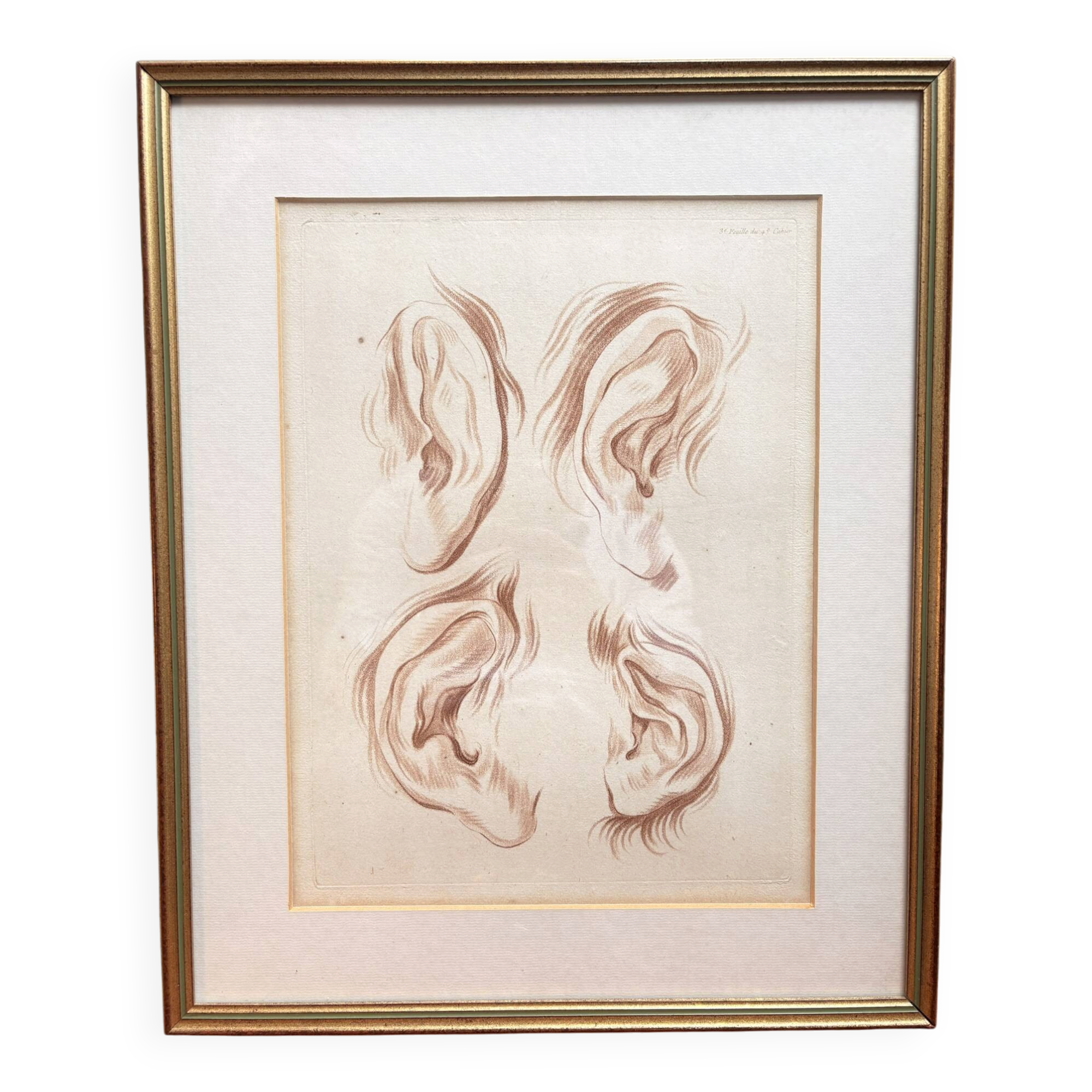 Old Print Engraving 19th Century Study of an Ear After Janinet Le Clerc