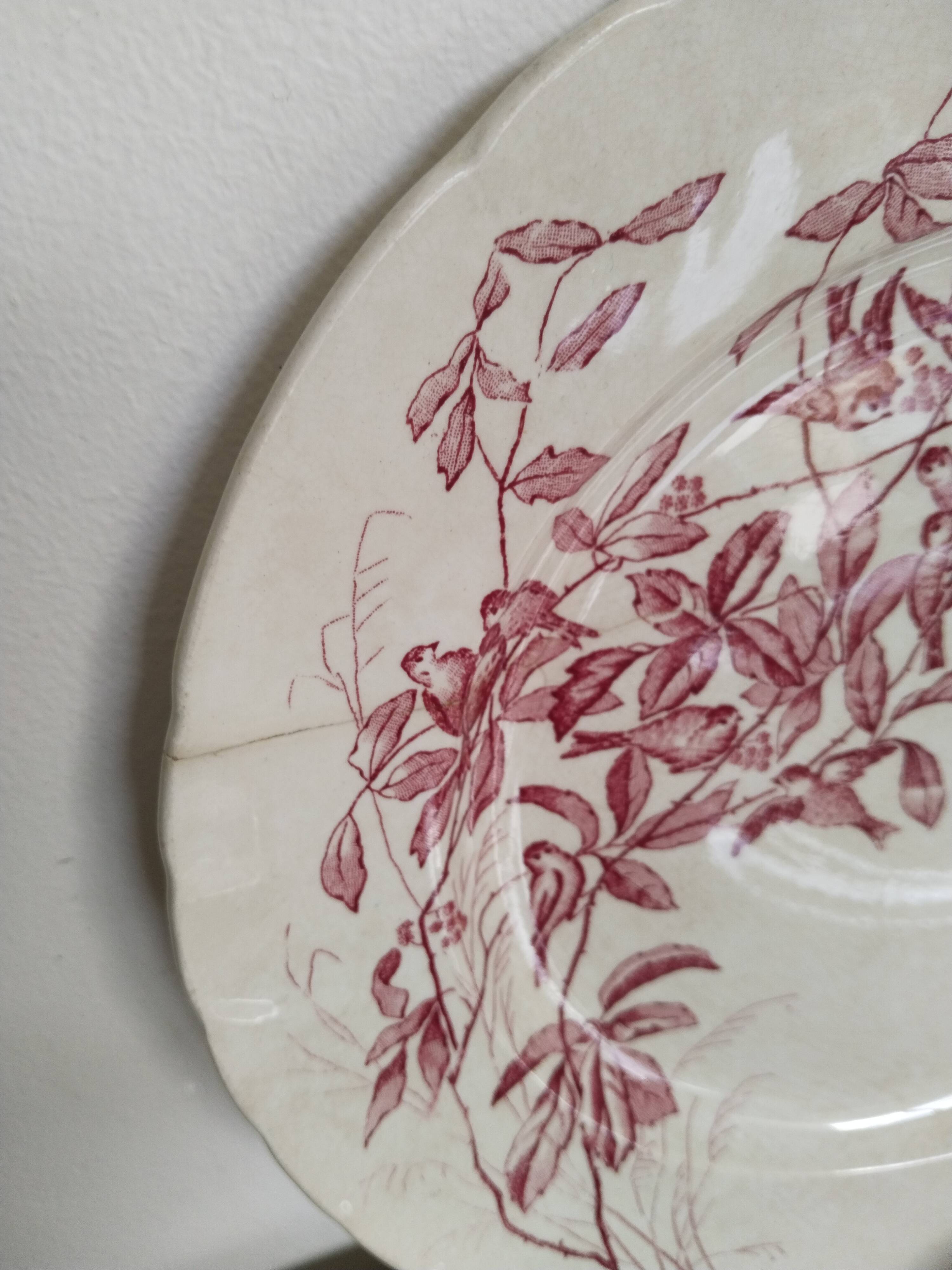 Set of 6 dinner plates in Terre de fer earthenware, red color