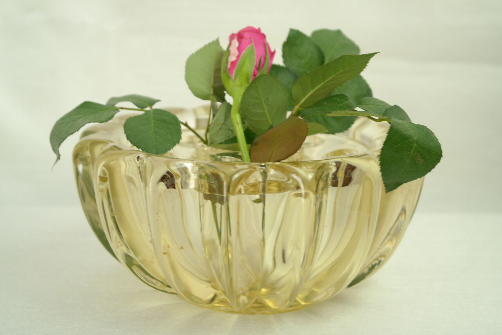 Pique flowers Art Deco P. d'Avesn yellow