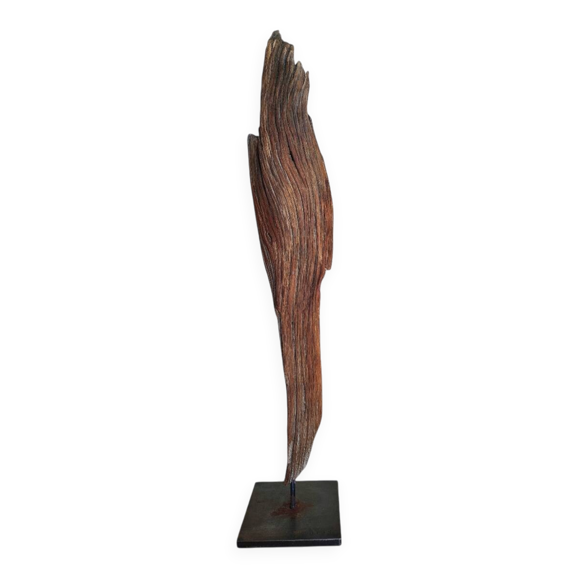 Sculpture "fragment of bark"