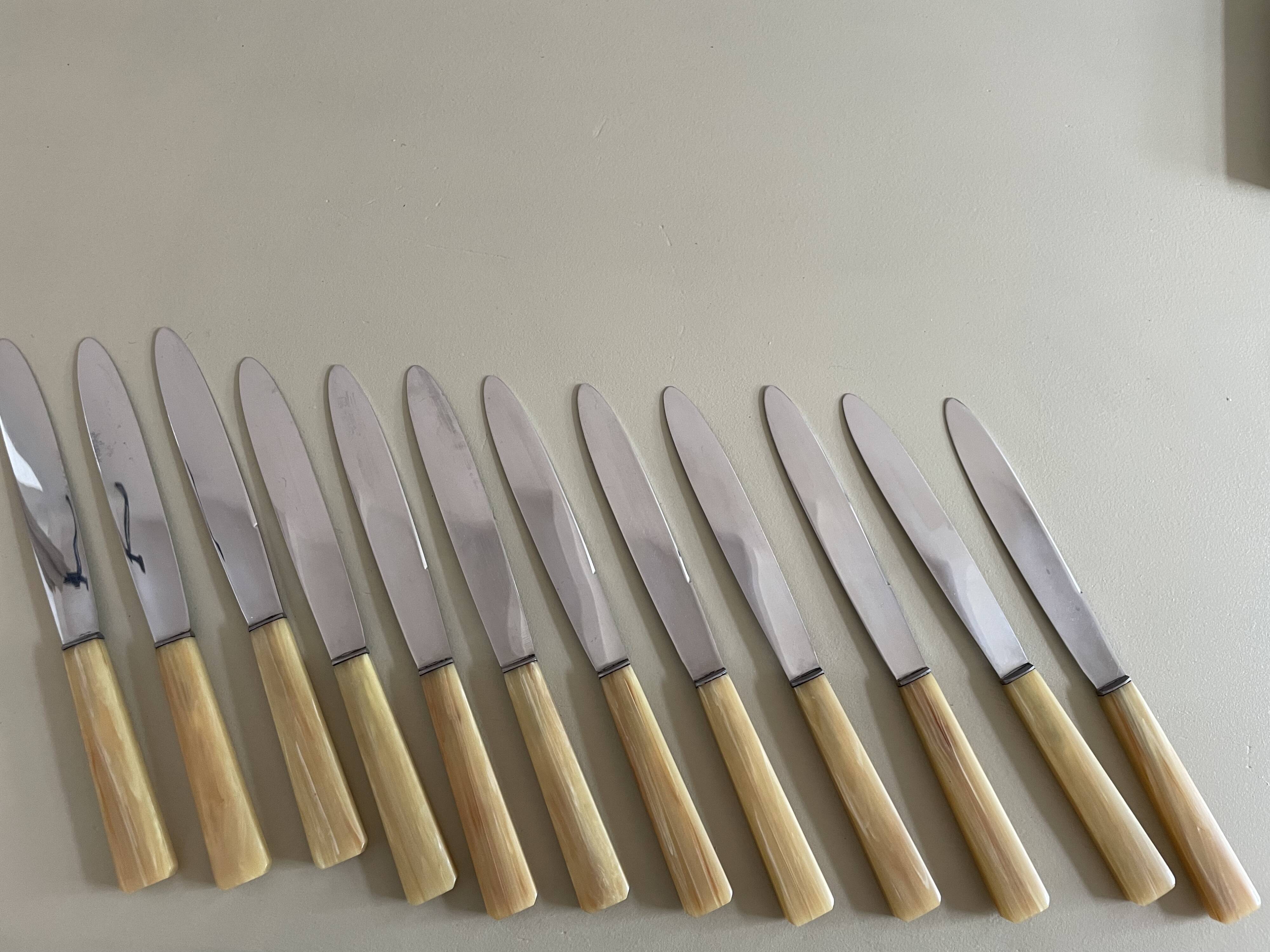 Set of 12 antique knives in green case