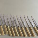 Set of 12 antique knives in green case